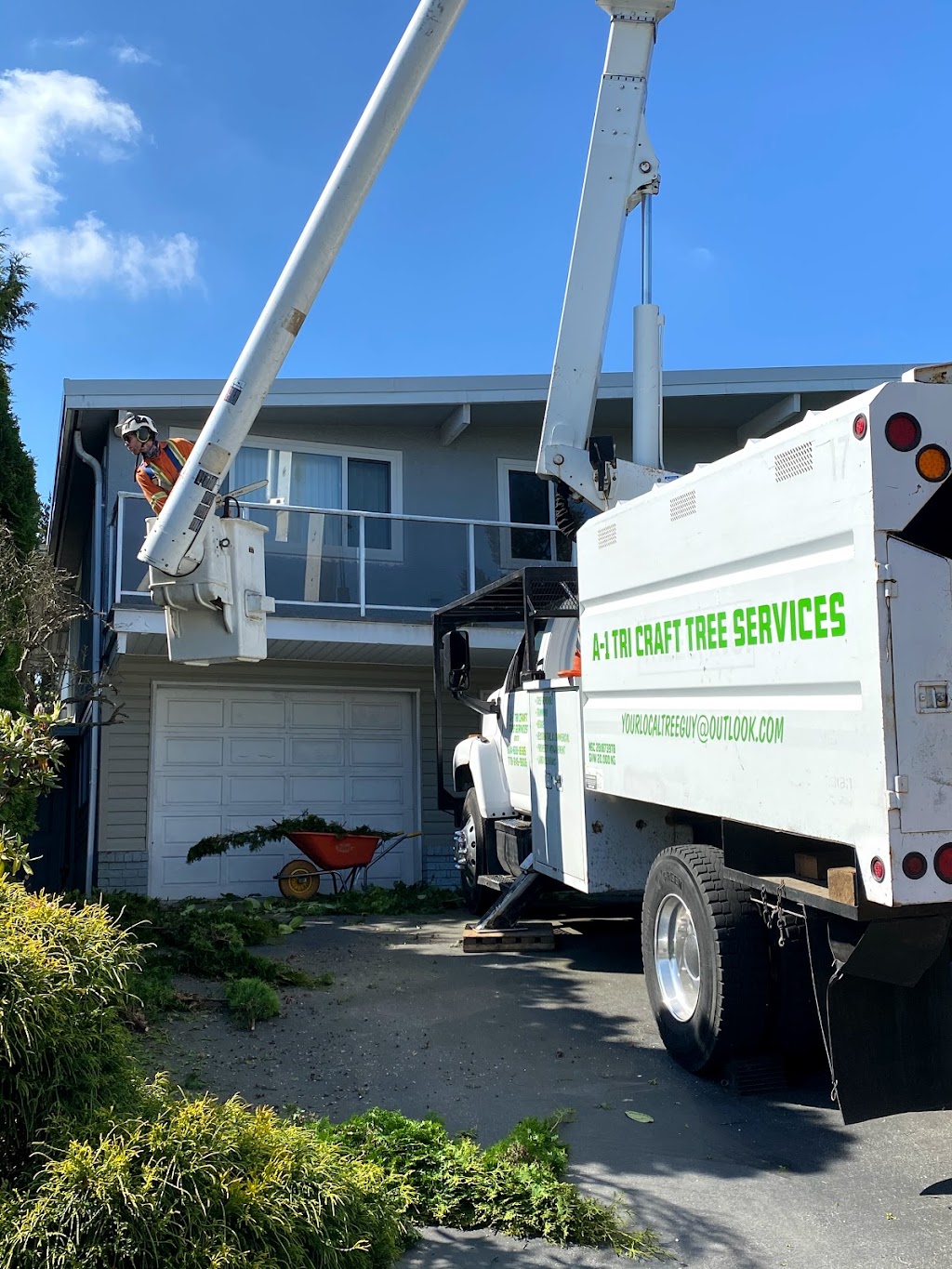 A1 tri craft tree services | 838 Whitchurch St, North Vancouver, BC V7L 2A4, Canada | Phone: (604) 396-3662