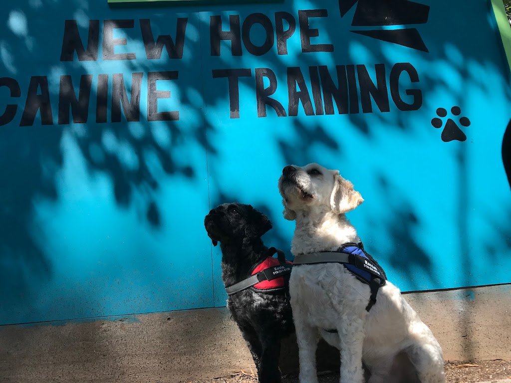 New Hope Canine Training | Redwood Ave, Cambridge, ON N3C 2S3, Canada | Phone: (905) 580-7861