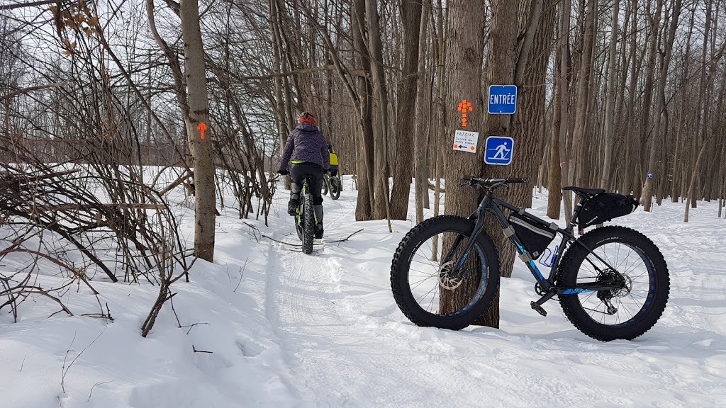 Parc Fonrouge | Chambly, QC J3L 5Y3, Canada