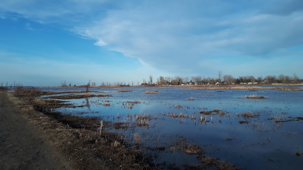 Long Point Birding Trail 6 (Crown Marsh) | Erie Blvd, Port Rowan, ON N0E 1M0, Canada