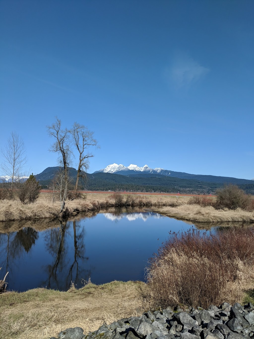 Maple Ridge Dyke Dog Park | 3080 Trans Canada Trail, Maple Ridge, BC V4R 2R9, Canada