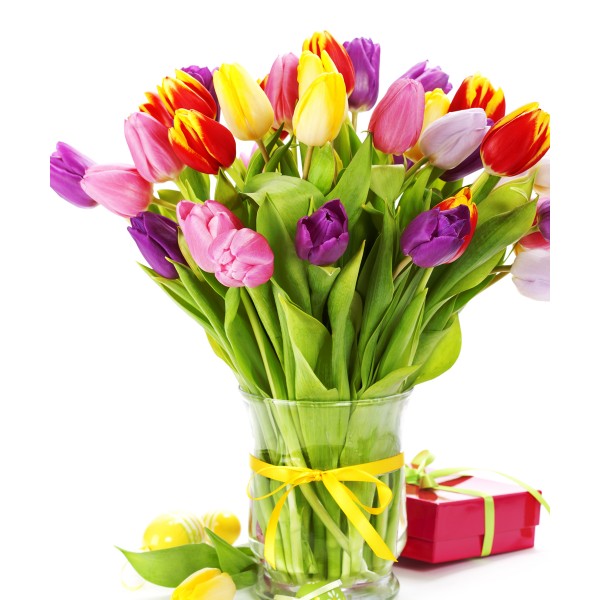 Quispamsis Flowers | 12 Andrew Crescent, Rothesay, NB E2S 1A8, Canada | Phone: (877) 713-7848