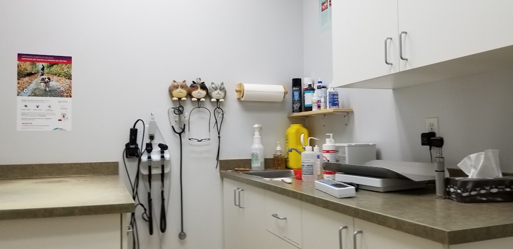 Hôpital Vétérinaire Ste-Agathe | 228 Rue Principale E, Sainte-Agathe-des-Monts, QC J8C 1K6, Canada | Phone: (819) 326-6062