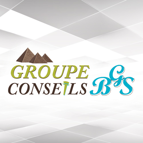 Groupe Conseils BGS | 615 QC-132, Sorel-Tracy, QC J3R 1K9, Canada | Phone: (450) 742-3460