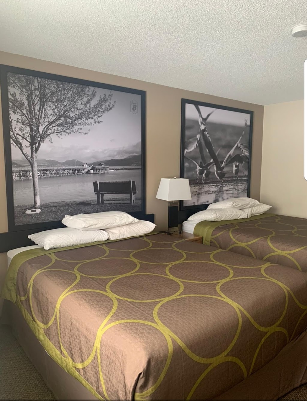 Super 8 by Wyndham Salmon Arm | 2901 10th Ave NE, Salmon Arm, BC V1E 2S3, Canada | Phone: (866) 469-0121