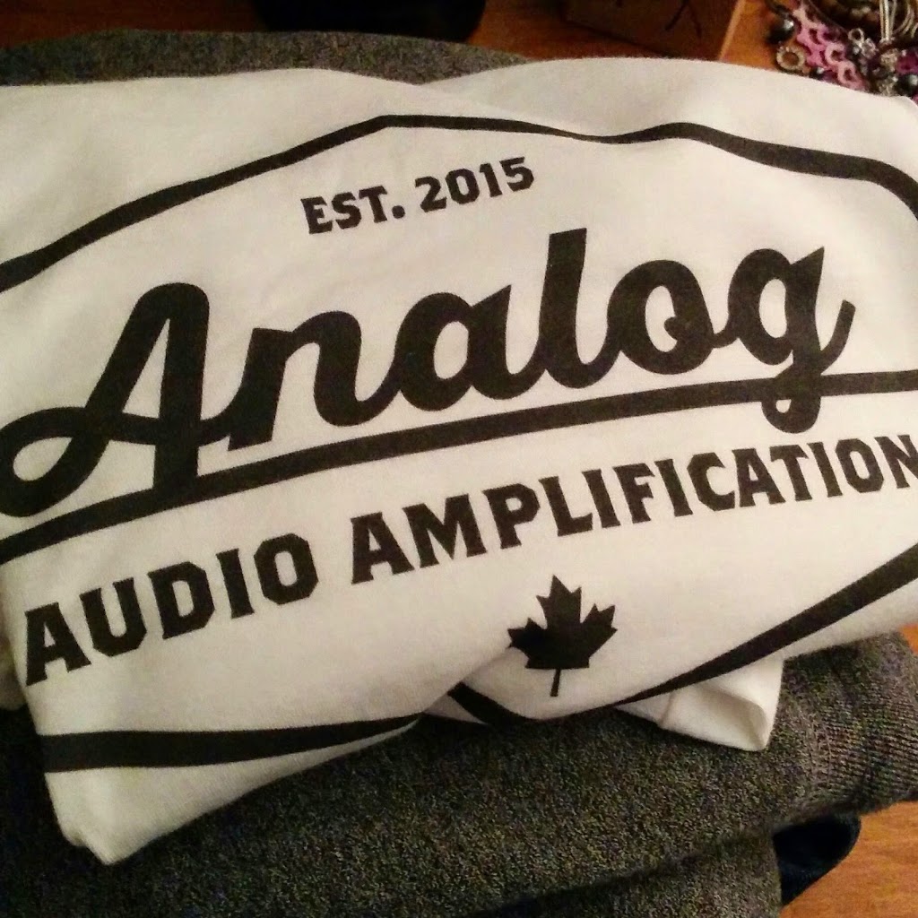 Analog Audio Amplification | 437 Martha St #9, Burlington, ON L7R 2P6, Canada | Phone: (416) 841-6236