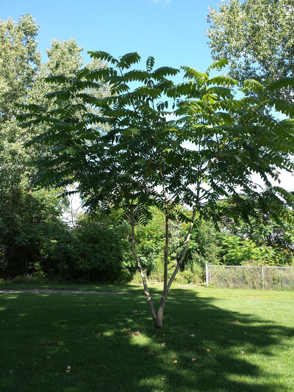 Parc des Bâtisseurs | Rue de la Sablière, Bois-des-Filion, QC J6Z 4T2, Canada