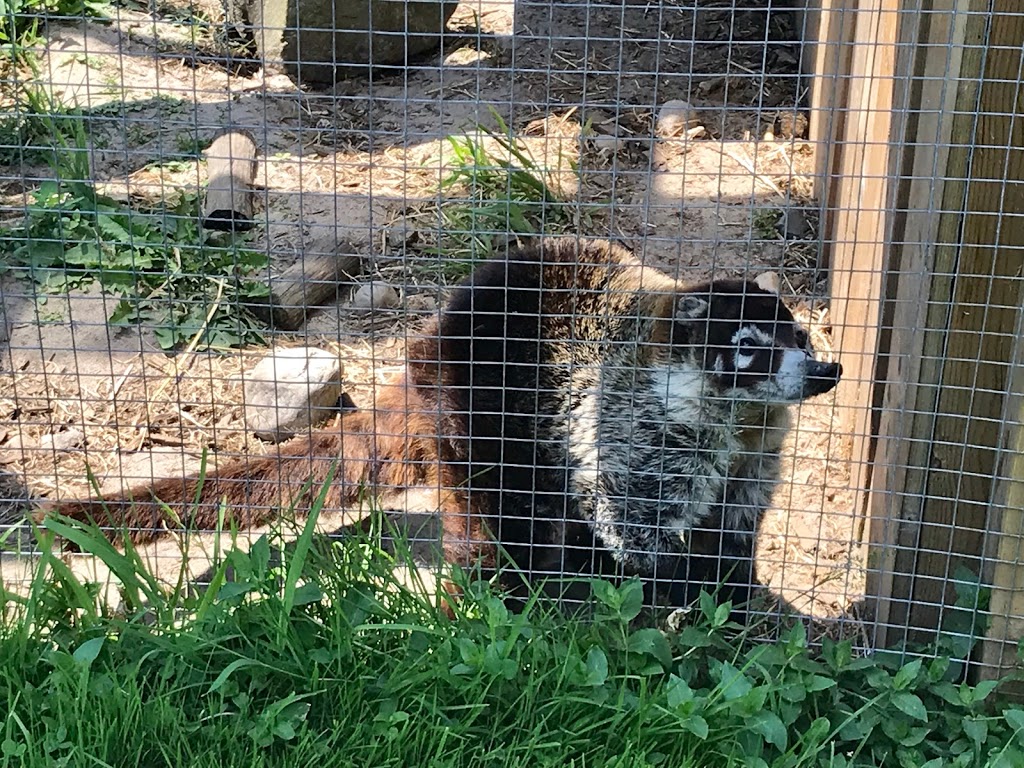 Saunders Country Critters Zoo Sanctuary & Garden Center | 1058 County Rd #44 RR # 1, Oxford Station, ON K0G 1T0, Canada | Phone: (613) 258-1108