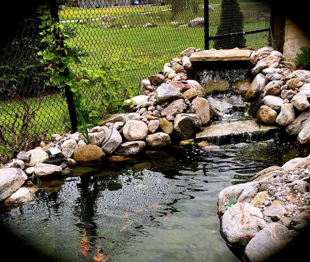 Tranquil Escapes Ponds & Watergardens | 244 Middletown Rd, Hamilton, ON L9H 5E1, Canada | Phone: (647) 225-7959