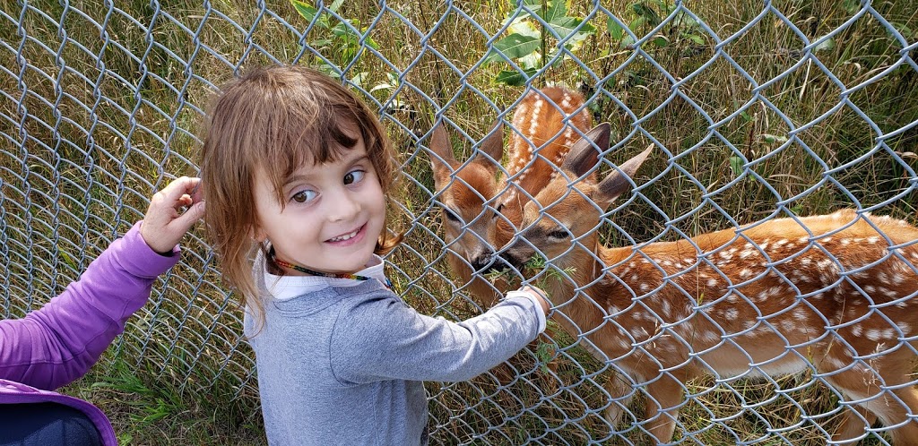 Centre dinterprétation du cerf de Virginie | C.P. 155, 6 Chemin du Barrage, Sainte-Thérèse-de-la-Gatineau, QC J0X 2X0, Canada | Phone: (819) 449-6666