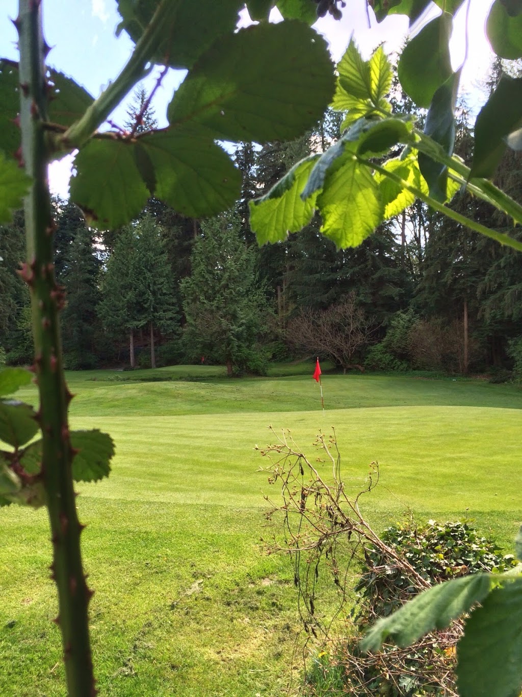 Cruse Control Golf Management | 2699 Pemberton Ave, North Vancouver, BC V7R 3X4, Canada | Phone: (604) 904-9970