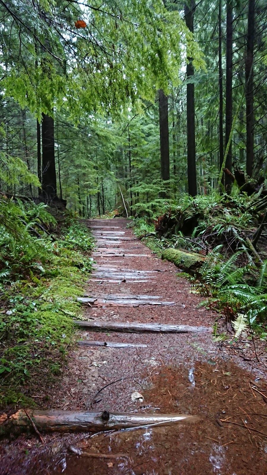 Horseshoe Trail | Horseshoe Trail, Anmore, BC V3H 4Y7, Canada