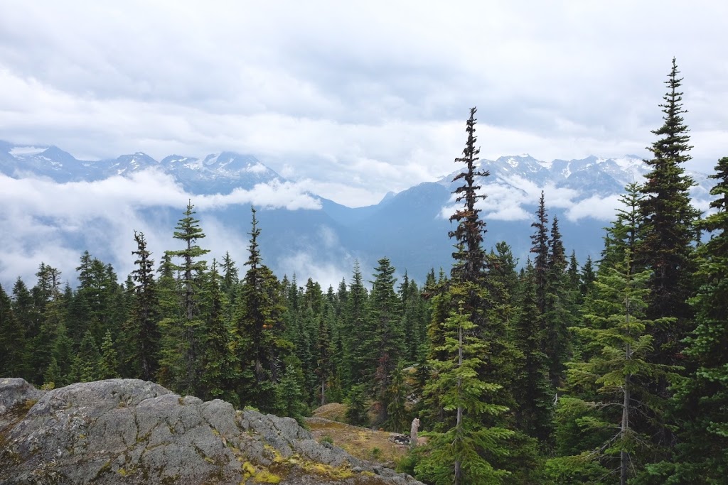 Skywalk Trailhead | Mountain View Dr, Whistler, BC V0N 1B8, Canada | Phone: (604) 754-8993