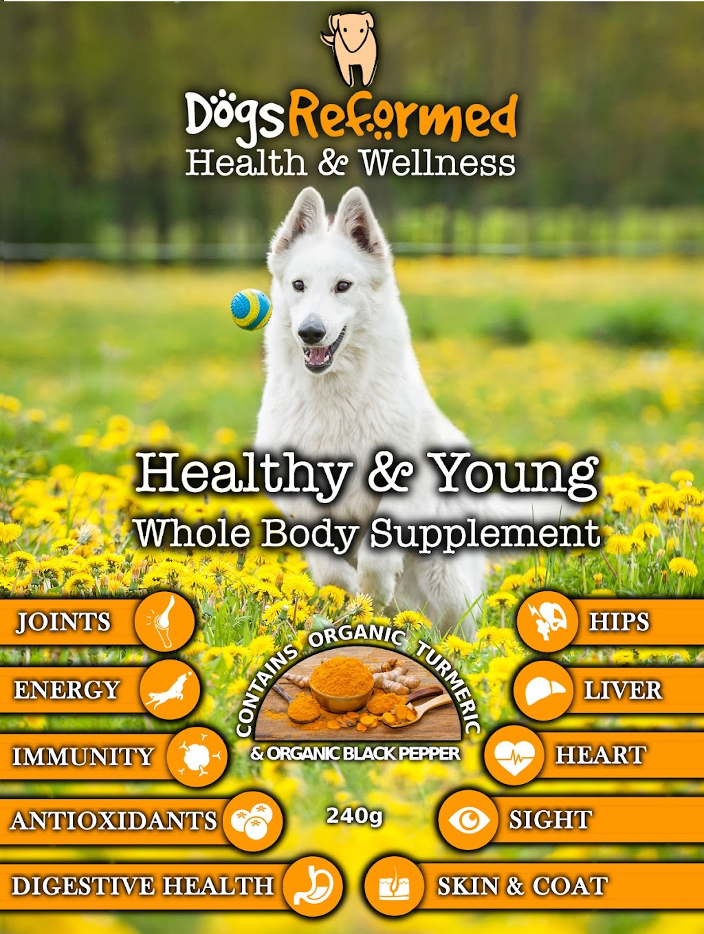 Dogs Reformed Health & Wellness | 1156 Highland Rd E, Stoney Creek, ON L8J 3H2, Canada | Phone: (905) 643-0766