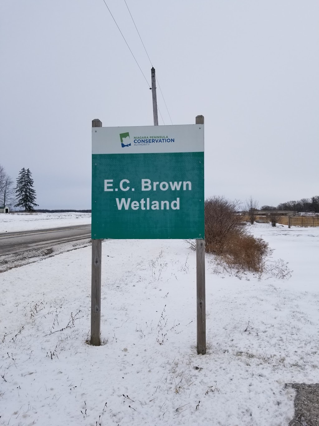 E. C. Brown Wetland | 536-544 River Rd, Fenwick, ON L0S 1C0, Canada