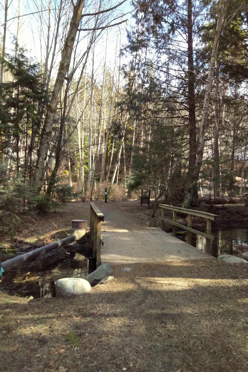 Coho Park Trail | 40460 Parkway Rd, Squamish, BC V8B 0L1, Canada