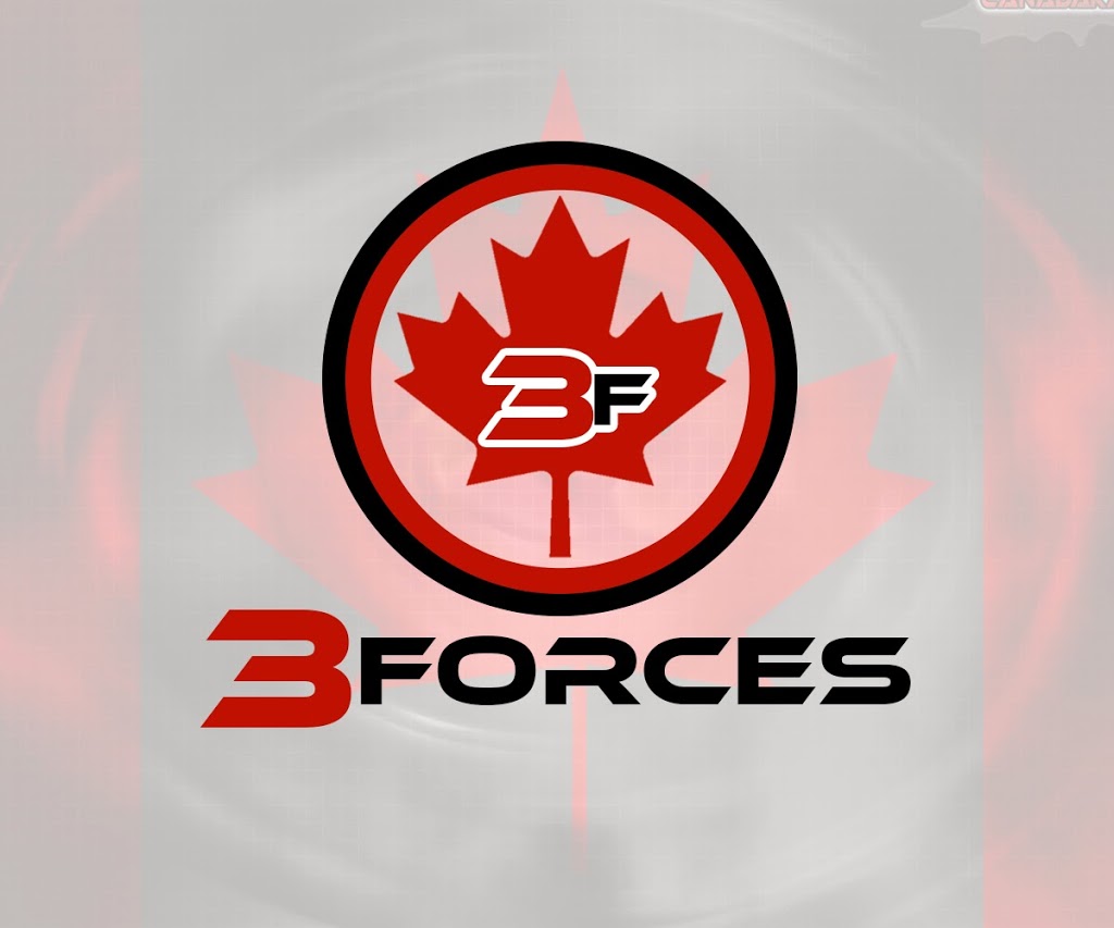 3 Forces Inc. | 15 Rue de lAqueduc, Pont-Rouge, QC G3H 1E5, Canada | Phone: (418) 455-8750