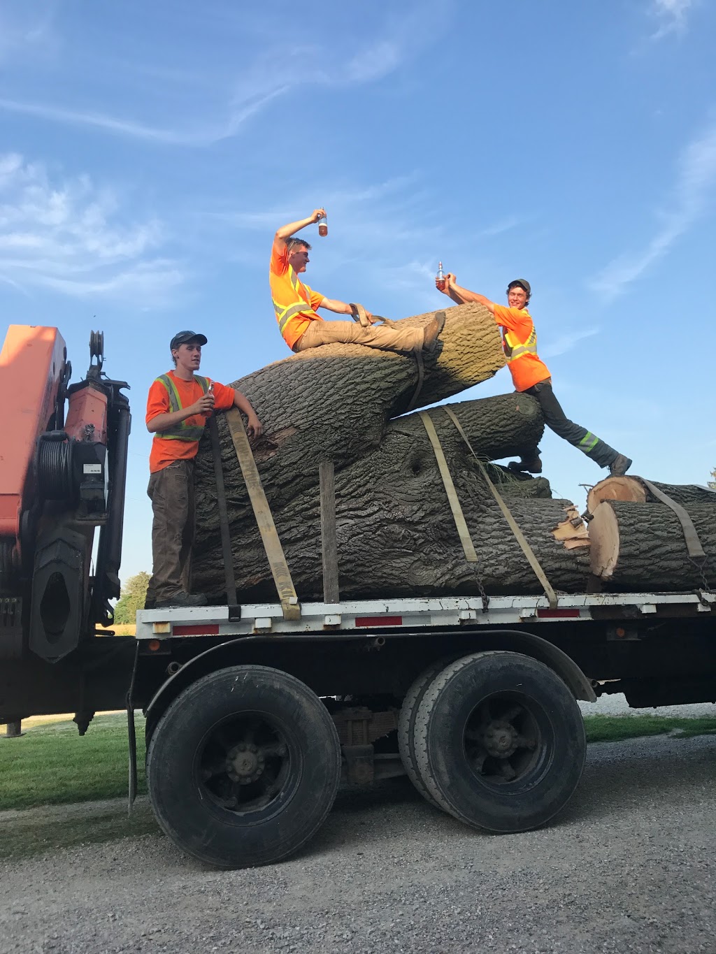 Summit Tree Service | 6709 Glendon Dr, Melbourne, ON N0L 1T0, Canada | Phone: (519) 868-0140