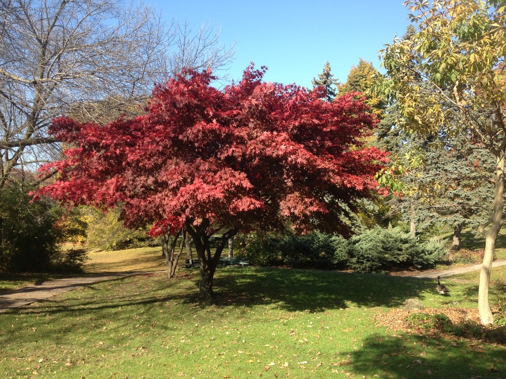 High Park Wading Pool, Splashpad and Playground | 8 Wendigo Way, Toronto, ON M6S 2T9, Canada | Phone: (416) 338-4386