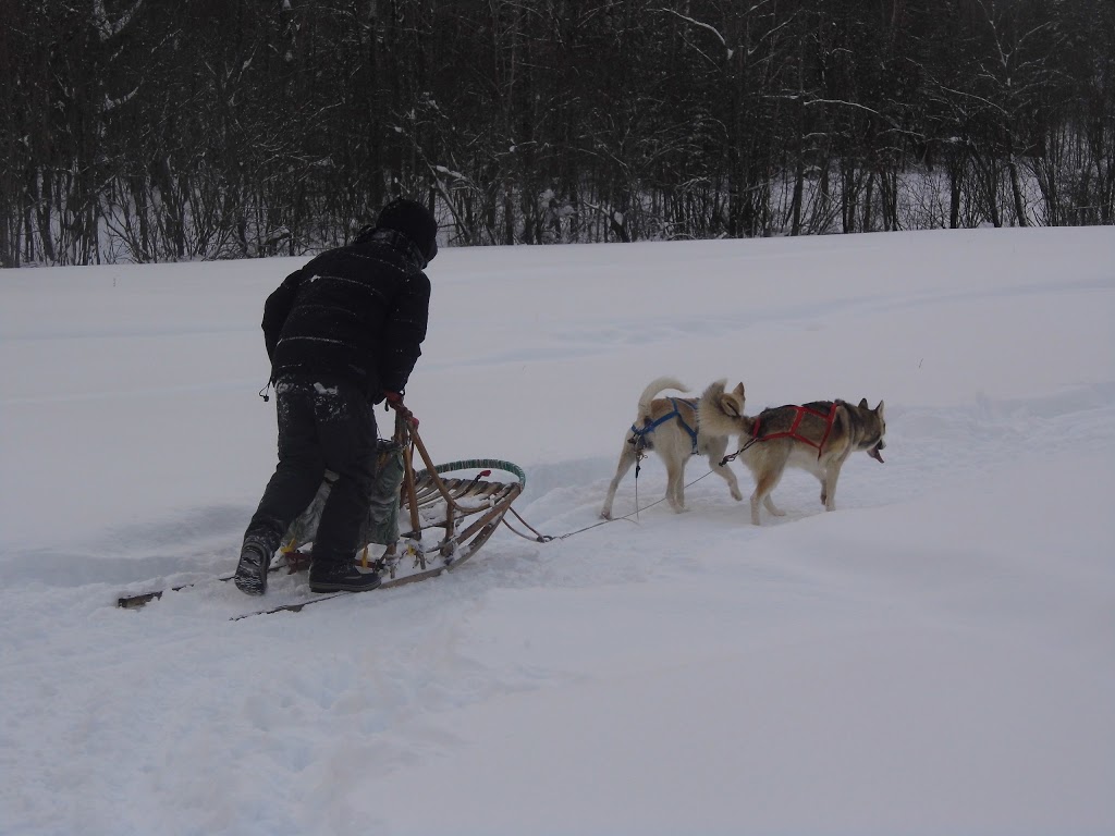 Escapade Canin Laurentides/Outaouais | 47 Chemin du Chenail du Moine, Lac-des-Plages, QC J0T 1K0, Canada | Phone: (819) 430-6627