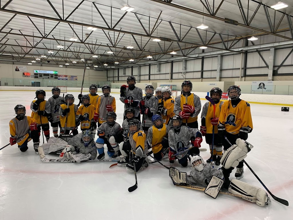 Academy Hockey Des Pros | 169 Chem. Saint-François-Xavier, Delson, QC J5B 1X7, Canada | Phone: (438) 320-4384