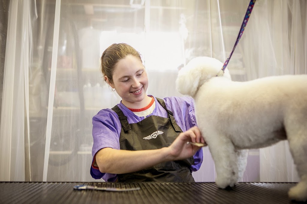 Justinas Dog Grooming | 9110 94 Ave, Fort Saskatchewan, AB T8L 1B7, Canada | Phone: (780) 264-0951