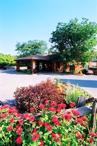 Comfort Inn Simcoe | 85 Queensway East, Simcoe, ON N3Y 4M6, Canada | Phone: (519) 426-2611