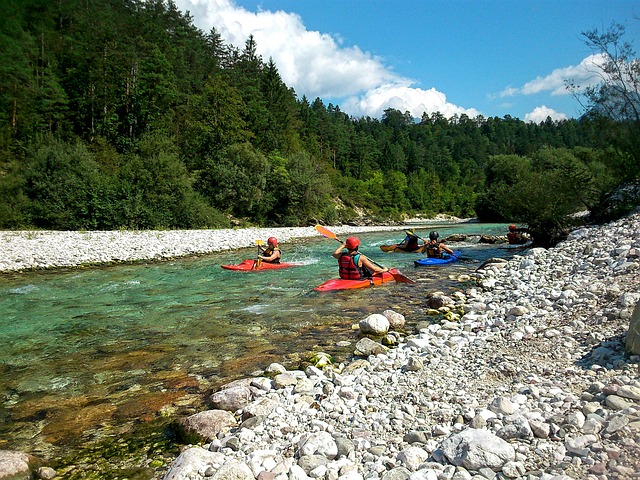 Les kayaks de La Rivière Sauvage | 345 Route Dostie, Saint-Romain, QC G0Y 1L0, Canada | Phone: (418) 486-2100