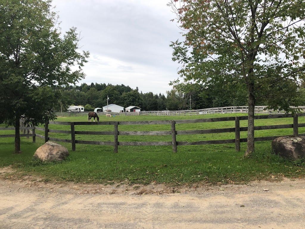 Cantercall Riding School | 993196 Mono Adjala Townline, Mono, ON L9W 6H3, Canada | Phone: (416) 892-3612