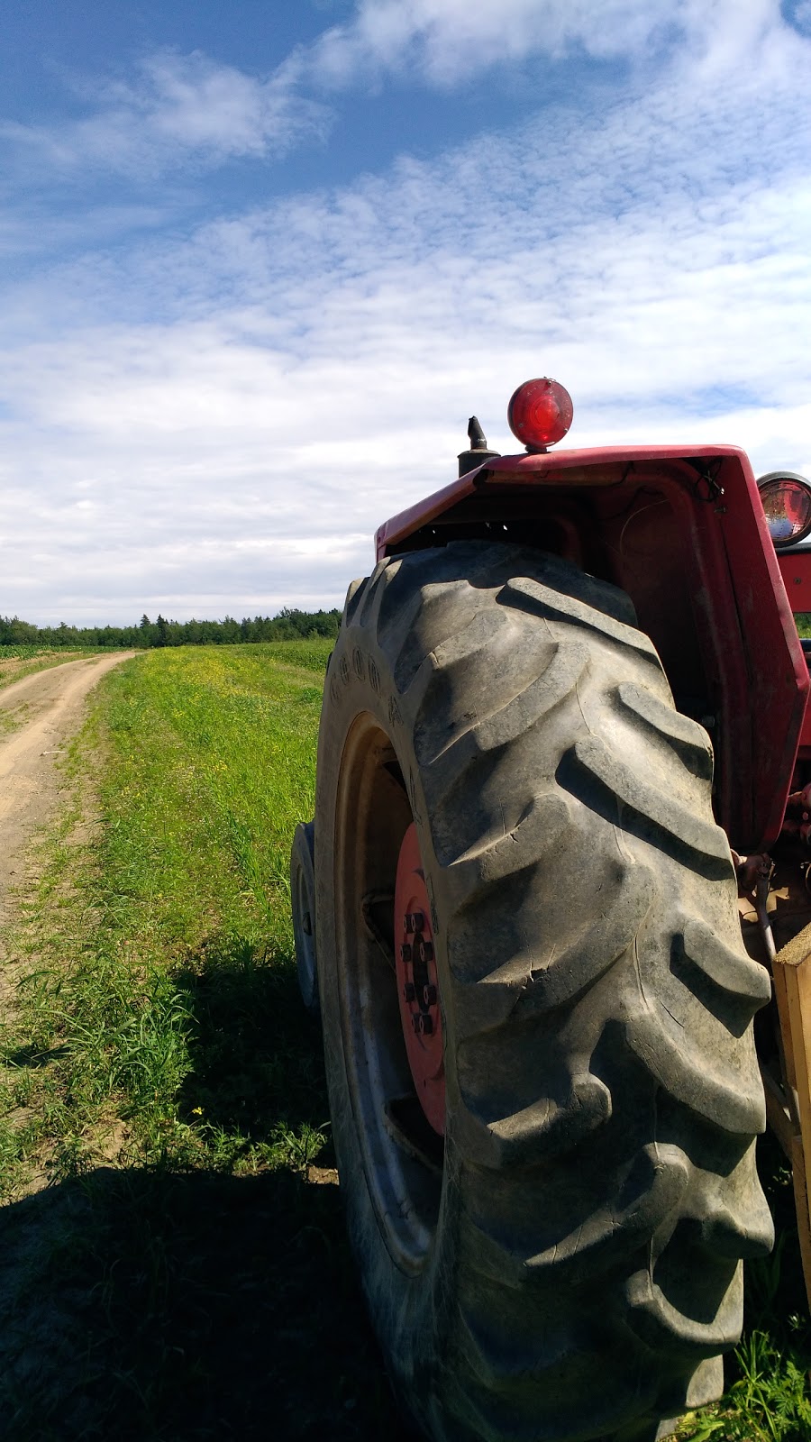 Ferme Louis Lemelin | 2138 Chemin Royal, Sainte-Famille, QC G0A 3P0, Canada