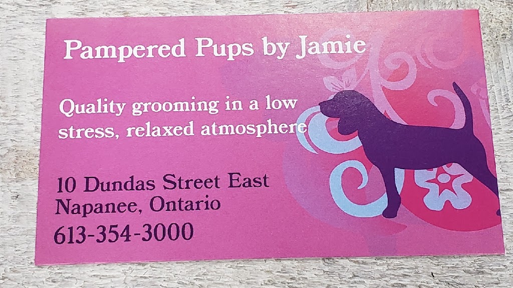 Pampered Pups by Jamie (Napanee) | 272 Belleville Rd, Napanee, ON K7R 1H6, Canada | Phone: (613) 354-3000