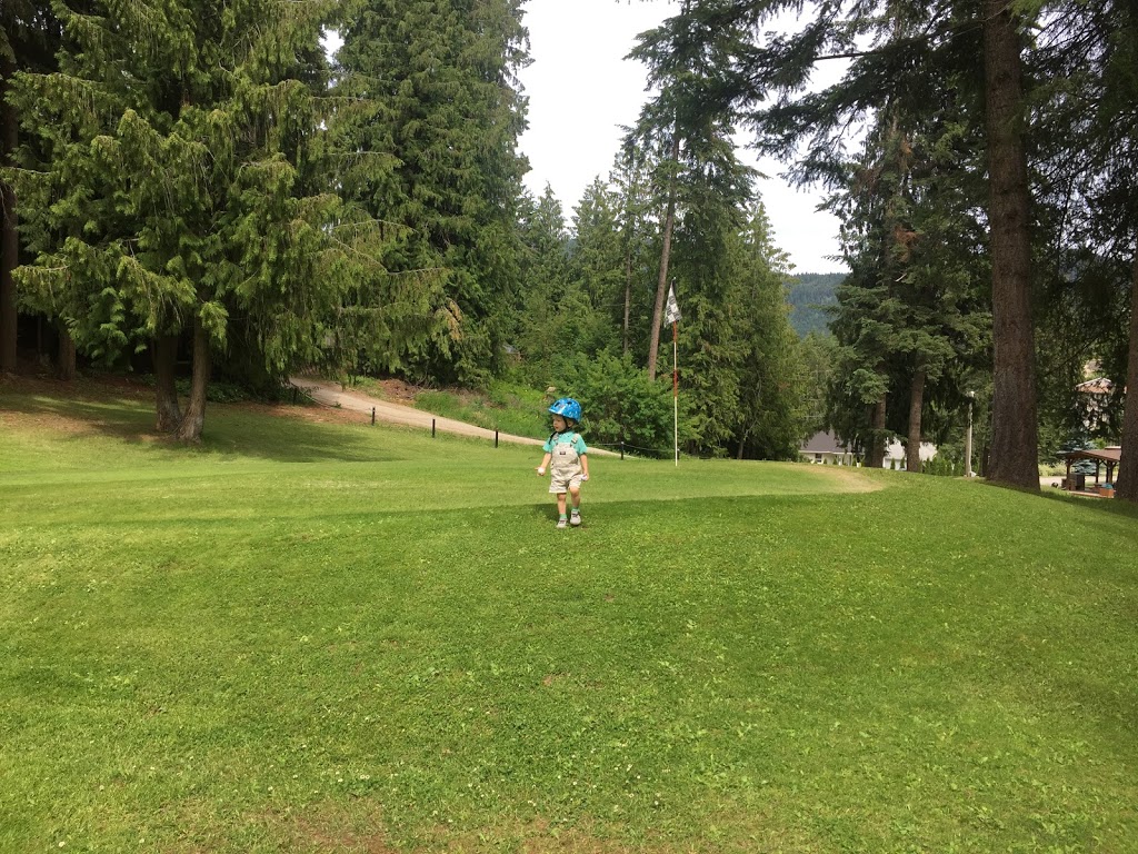 Cedar Heights par 3 Golf Course | 2316 Lakeview Dr, Sorrento, BC V0E 2W2, Canada | Phone: (250) 675-2012