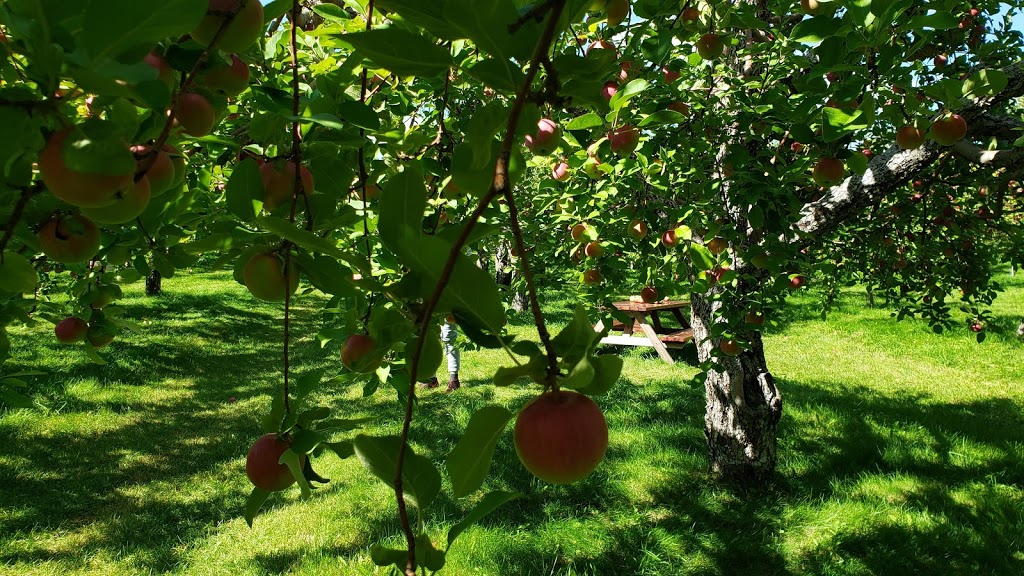 Verger François Legault | 111 Rang des Étangs, Mont-Saint-Hilaire, QC J3G 4S6, Canada | Phone: (450) 467-6492