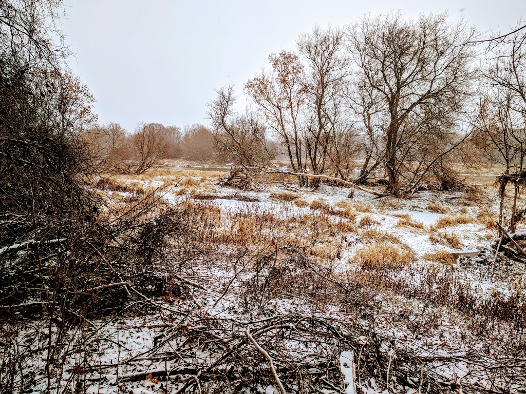 Carisbrook Drive Natural Area | Bridgeport North, Kitchener, ON N2K, Canada