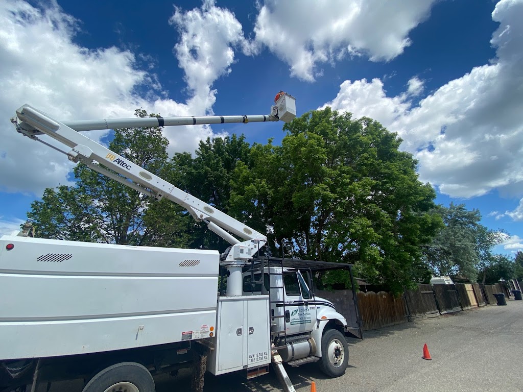 Rosscos Tree Service & Contracting Ltd. | 401 Clark Ave, Lethbridge, AB T1K 8H4, Canada | Phone: (403) 327-2201