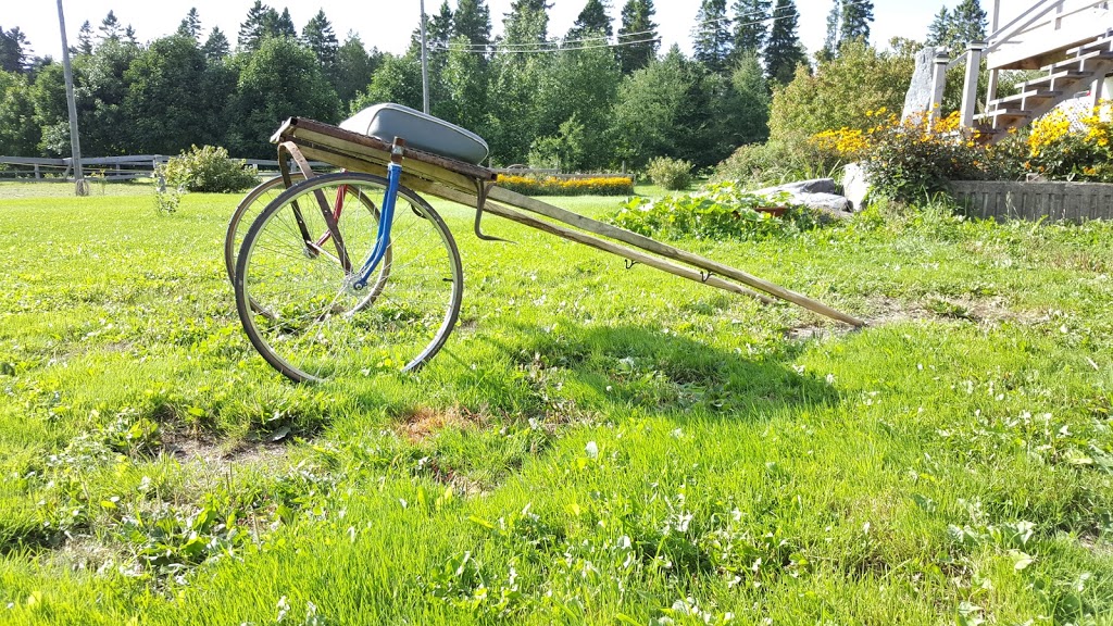 Gîte chez Gilles | 443 rang de la Grande-Ligne RR 1, Saints-Anges, QC G0S 3E0, Canada | Phone: (418) 253-6570