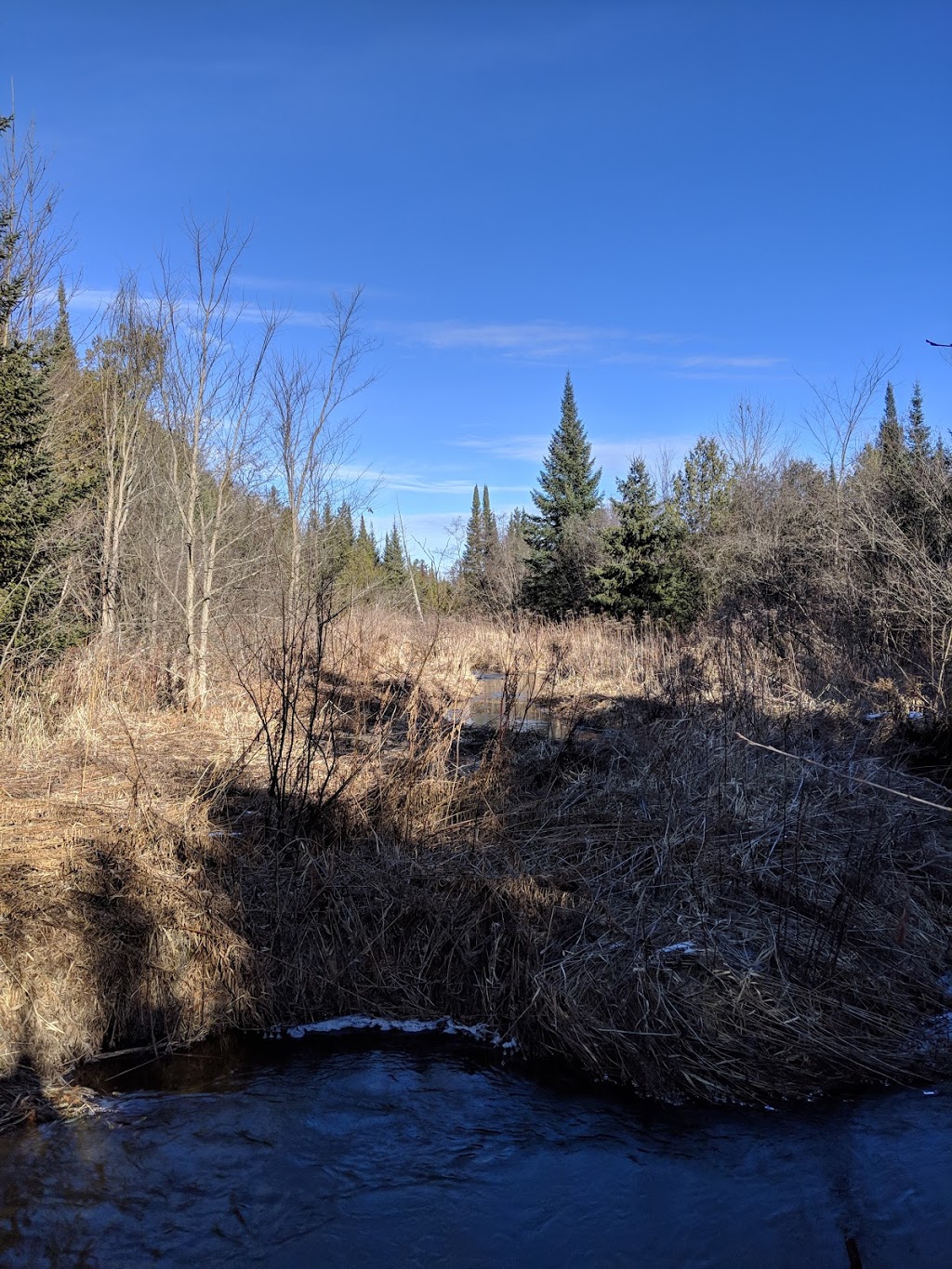 Chattens Creek | Kawartha Lakes, ON K0L 2W0, Canada