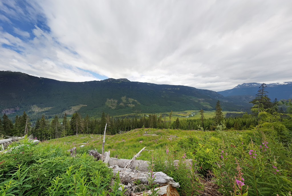 Superfly Ziplines Basecamp | Cougar Mountain Rd, Whistler, BC V0N 1B8, Canada | Phone: (855) 824-9955