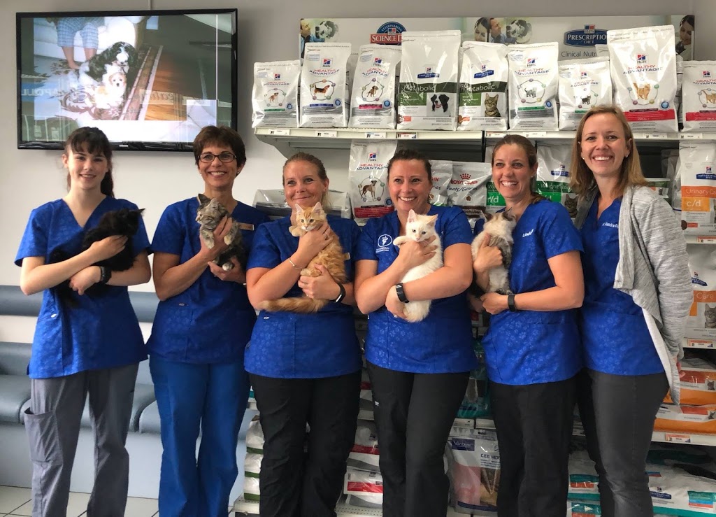 Yellowhead Veterinary Clinic | 4305 S Park Dr, Stony Plain, AB T7Z 1L1, Canada | Phone: (780) 963-9478