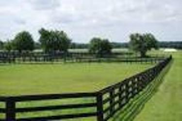 A P Turner Fencing | 3818 3rd Line, Bradford, ON L0L 1L0, Canada | Phone: (905) 775-7472