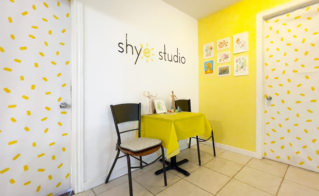 Shye Studio | 51 Larwood Blvd, Toronto, ON M1M 2M6, Canada | Phone: (647) 719-1691