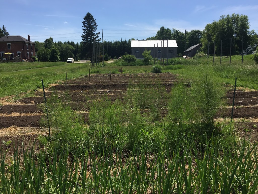 GoodLot Farm & GoodLot Farmstead Brewing Co. | 18825 Shaws Creek Rd, Alton, ON L7K 1L3, Canada | Phone: (519) 927-5881