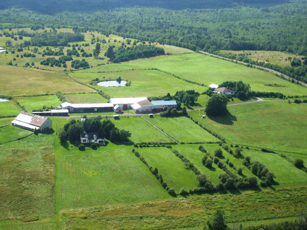 Big K Ranch Ltd | 10 Big K Ranch Lane, Upper Hampstead, NB E5M 1X6, Canada | Phone: (506) 488-2407