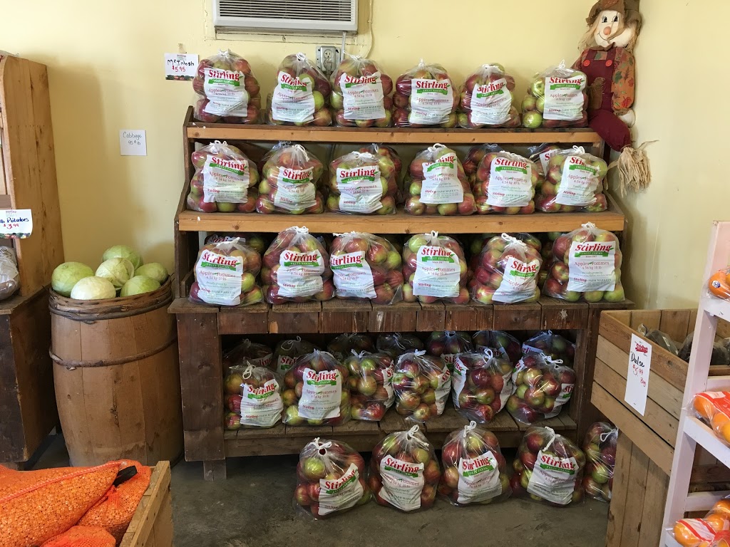 Stirlings Farm Market (Blue Acres) | 339 Bridge Ave, New Glasgow, NS B2H 5C5, Canada | Phone: (902) 755-2458