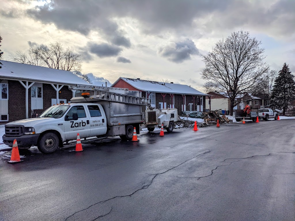 Zarb - Arboriculture Responsable | 5135 Rue Ramsay, Saint-Hubert, QC J3Y 2S3, Canada | Phone: (514) 358-2770