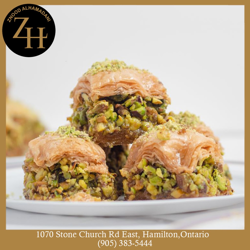 Znoud Al-Hamdani | 1070 Stone Church Rd E #28, Hamilton, ON L8W 3L3, Canada | Phone: (905) 383-5444