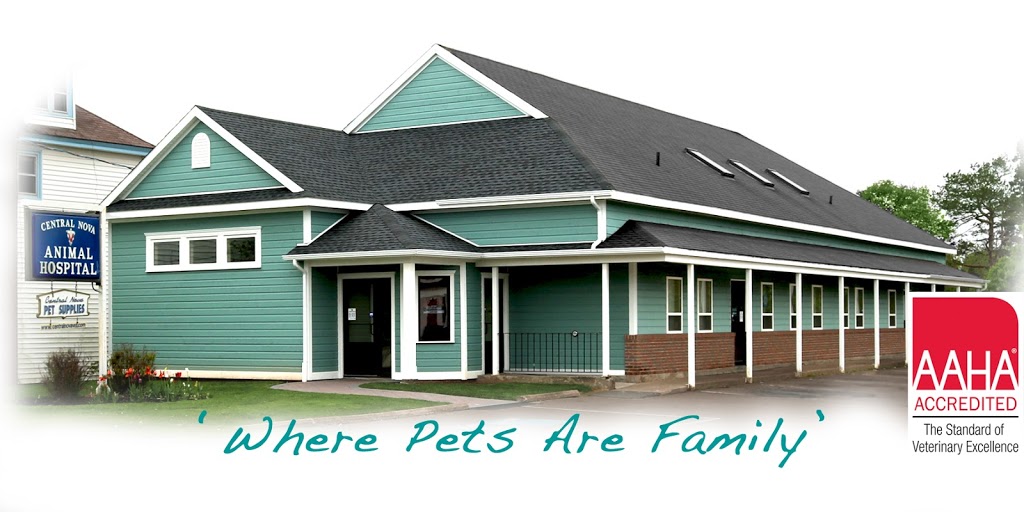 Central Nova Animal Hospital | 29 Main St, Truro, NS B2N 4G5, Canada | Phone: (902) 893-4331