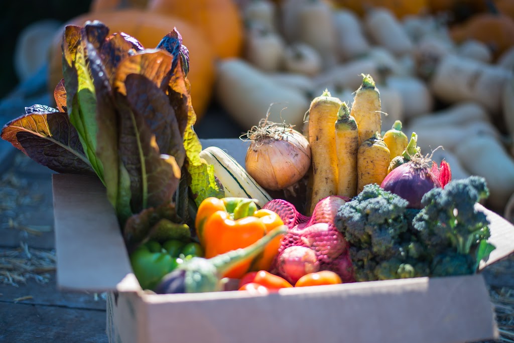 Ferme Manche de Pelle | 936 Rue de lÉglise E, Saint-Nérée, QC G0R 3V0, Canada | Phone: (418) 243-2966