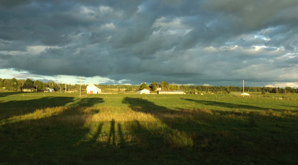 Island Brook Cemetery | 24-48 Rue de lÉglise, Cookshire-Eaton, QC J0B 1M0, Canada