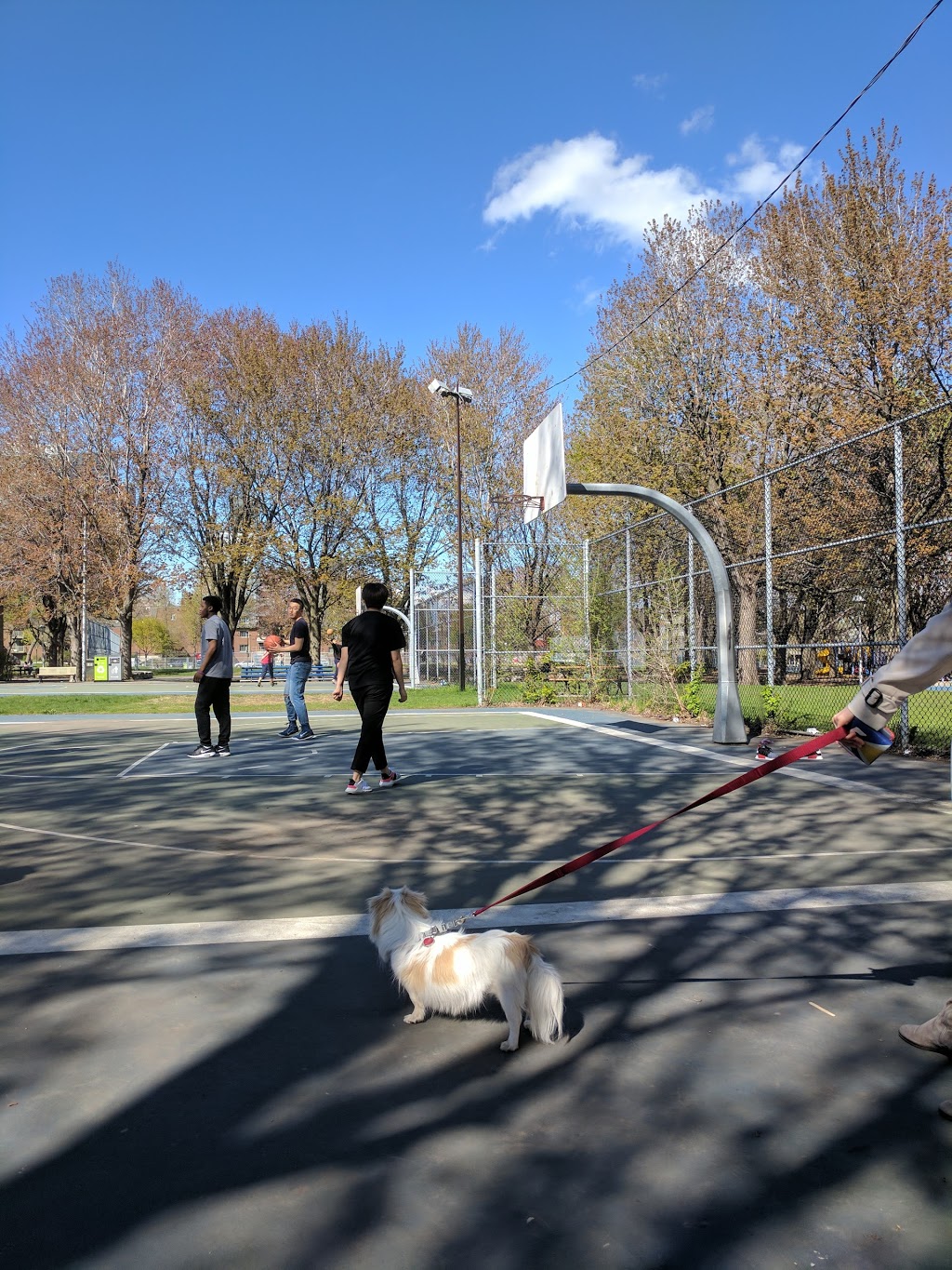 Oscar Peterson Park | Rue Chatham, Montréal, QC H3J 1Z5, Canada | Phone: (514) 872-0311